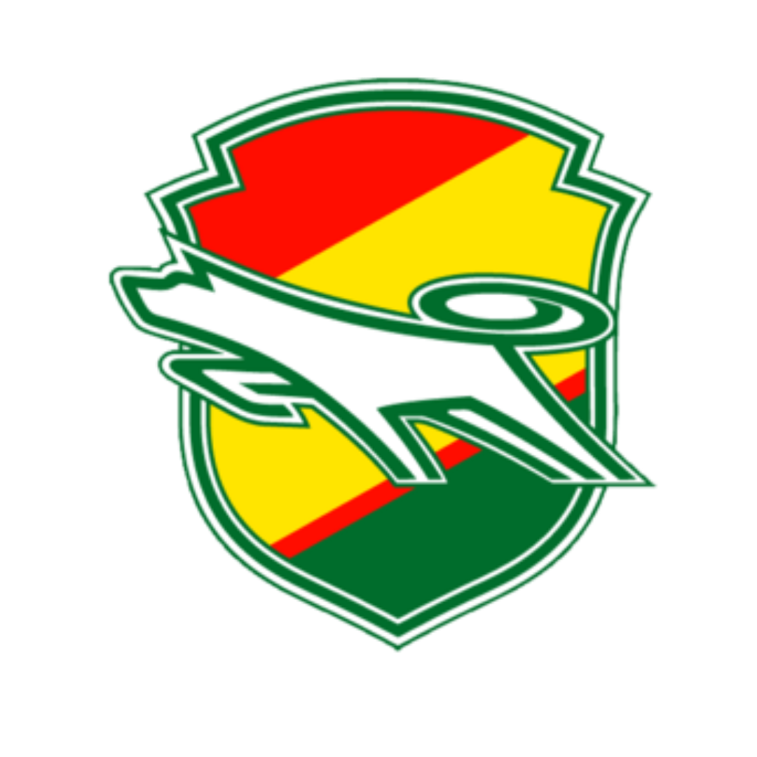 Profile Club Football JEF United Chiba